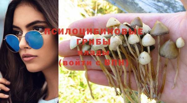 МДПВ Абдулино