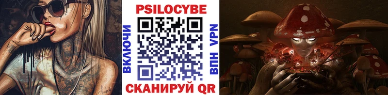 Галлюциногенные грибы прущие грибы  MEGA ссылка  Терек  хочу  